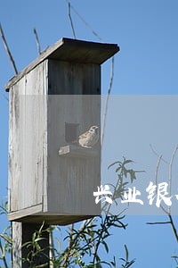 兴业银行怎样还逾期金额 兴业银行怎样还逾期金额