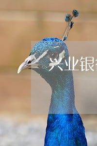 兴业银行房贷几天算逾期 兴业银行房贷几天算逾期