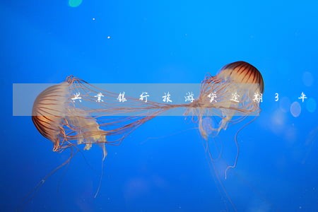 兴业银行旅游贷逾期3年 兴业银行旅游贷逾期3年
