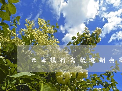 兴业银行欠款逾期会报警吗 兴业银行欠款逾期会报警吗