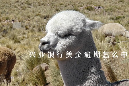 兴业银行美金逾期怎么申诉 兴业银行美金逾期怎么申诉