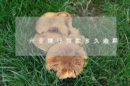 兴业银行贷款多久逾期 兴业银行贷款多久逾期