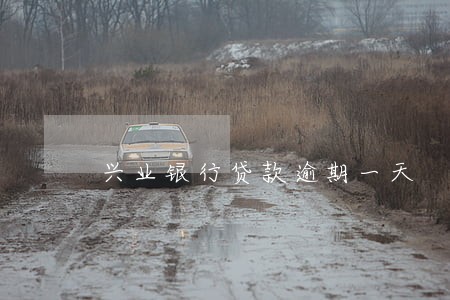 兴业银行贷款逾期一天 兴业银行贷款逾期一天