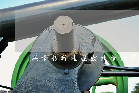 兴业银行违法发放贷款罪 兴业银行违法发放贷款罪