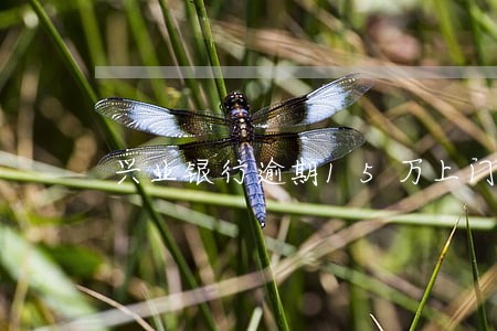 兴业银行逾期15万上门催收 兴业银行逾期15万上门催收