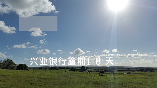 兴业银行逾期18天 兴业银行逾期18天