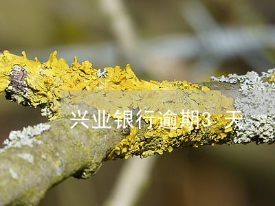 兴业银行逾期3天 兴业银行逾期3天