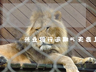兴业银行逾期5天会上征信吗 兴业银行逾期5天会上征信吗