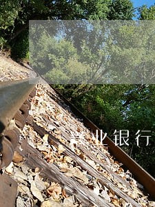 兴业银行逾期5天多少钱 兴业银行逾期5天多少钱