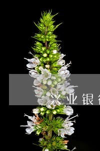 兴业银行逾期一天没事吗 兴业银行逾期一天没事吗