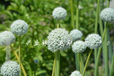 兴业银行逾期一次19000元 兴业银行逾期一次19000元