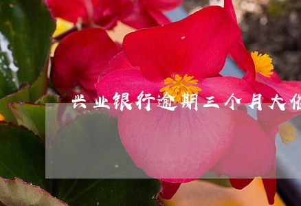 兴业银行逾期三个月大催款函 兴业银行逾期三个月大催款函