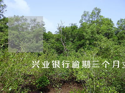 兴业银行逾期三个月立案