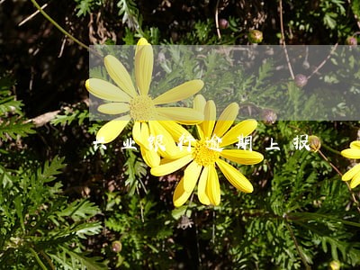 兴业银行逾期上报 兴业银行逾期上报