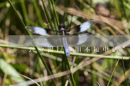 兴业银行逾期不接电话