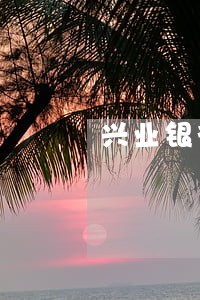 兴业银行逾期不给分期怎么办 兴业银行逾期不给分期怎么办