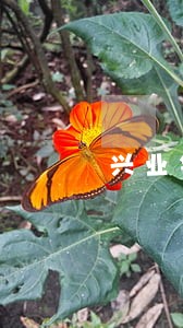 兴业银行逾期两个月被冻结了 兴业银行逾期两个月被冻结了
