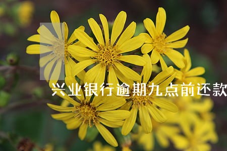 兴业银行逾期九点前还款 兴业银行逾期九点前还款