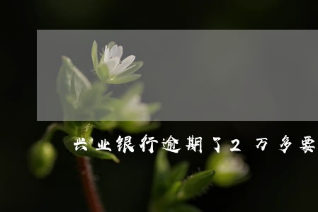 兴业银行逾期了2万多要报案 兴业银行逾期了2万多要报案