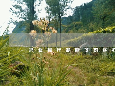 兴业银行逾期了可以办信用卡吗 兴业银行逾期了可以办信用卡吗
