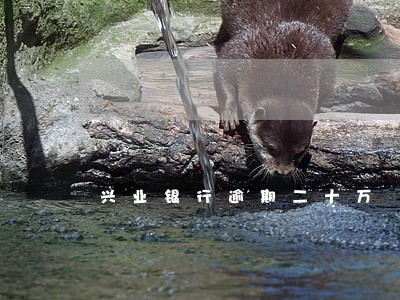 兴业银行逾期二十万 兴业银行逾期二十万