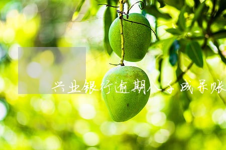 兴业银行逾期八千成呆账 兴业银行逾期八千成呆账