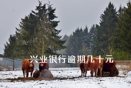 兴业银行逾期几十元 兴业银行逾期几十元