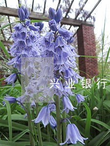 兴业银行逾期几天如何退还利息 兴业银行逾期几天如何退还利息