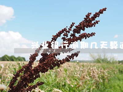 兴业银行逾期几天算逾期 兴业银行逾期几天算逾期