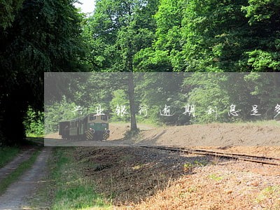 兴业银行逾期利息是多少 兴业银行逾期利息是多少