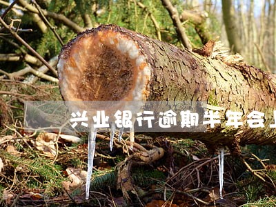 兴业银行逾期半年会上征信吗 兴业银行逾期半年会上征信吗