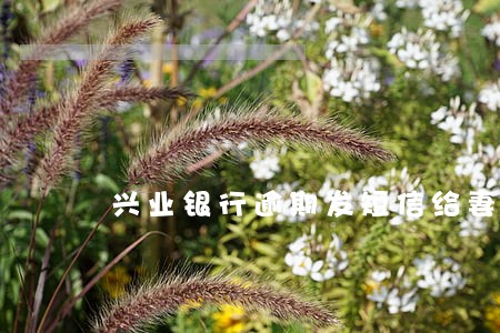 兴业银行逾期发短信给妻子
