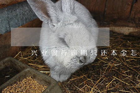 兴业银行逾期只还本金怎么还 兴业银行逾期只还本金怎么还