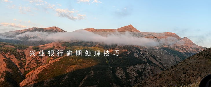兴业银行逾期处理技巧