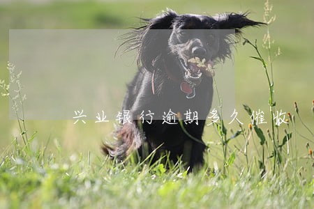 兴业银行逾期多久催收 兴业银行逾期多久催收