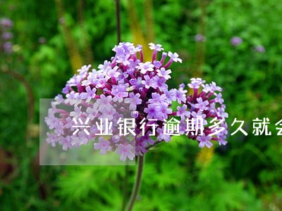 兴业银行逾期多久就会封卡 兴业银行逾期多久就会封卡