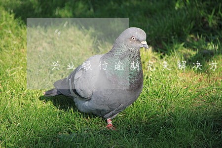 兴业银行逾期完美解决方法上海 兴业银行逾期完美解决方法上海