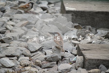 兴业银行逾期已备案 兴业银行逾期已备案