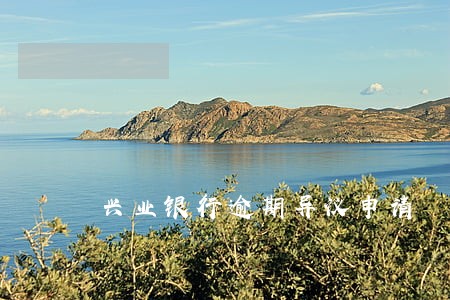 兴业银行逾期异议申请 兴业银行逾期异议申请