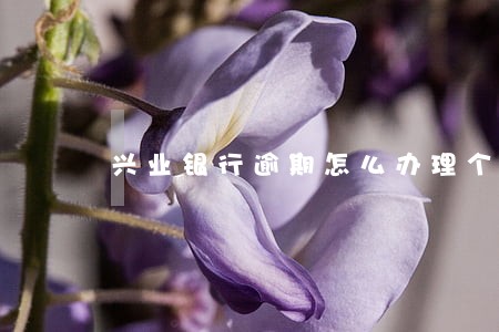 兴业银行逾期怎么办理个性化分期 兴业银行逾期怎么办理个性化分期