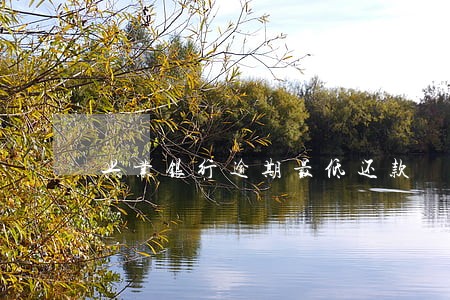 兴业银行逾期最低还款 兴业银行逾期最低还款