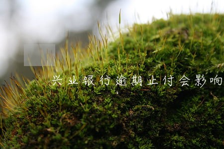 兴业银行逾期止付会影响别的卡吗 兴业银行逾期止付会影响别的卡吗