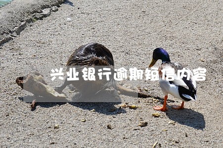 兴业银行逾期短信内容 兴业银行逾期短信内容