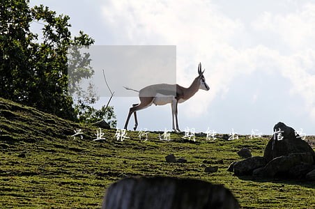 兴业银行逾期能出征信吗 兴业银行逾期能出征信吗