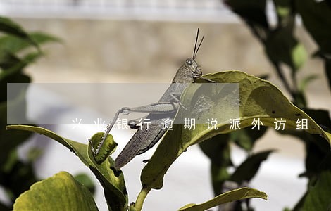 兴业银行逾期说派外访组 兴业银行逾期说派外访组