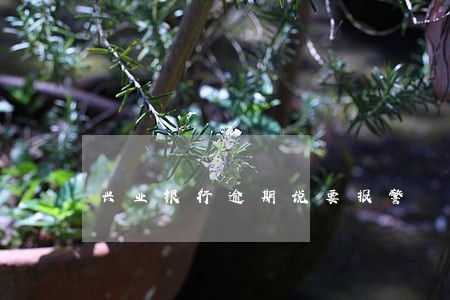 兴业银行逾期说要报警