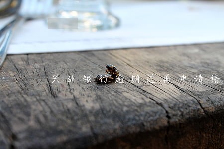 兴业银行逾期过再申请信用卡 兴业银行逾期过再申请信用卡