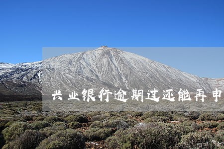 兴业银行逾期过还能再申请嘛 兴业银行逾期过还能再申请嘛