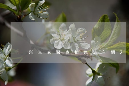 兴义交警查扣违法车辆20辆 兴义交警查扣违法车辆20辆