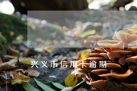 兴义市信用卡逾期
